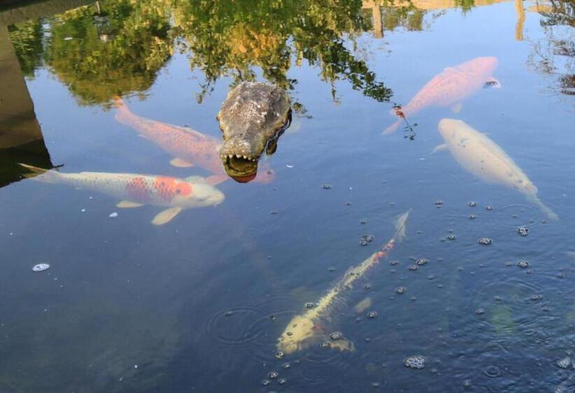 膳宿费 Le Moulin De Nancy