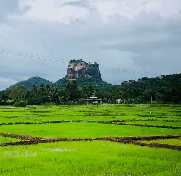 Pensão Sigiri Lion Eco Palace