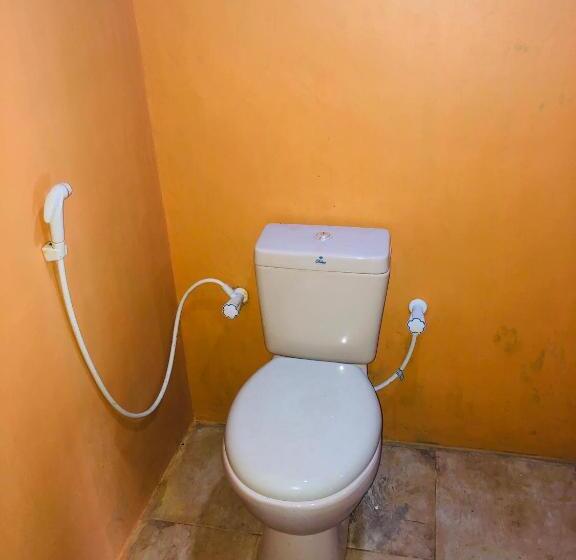 Pensão Sigiri Lion Eco Palace