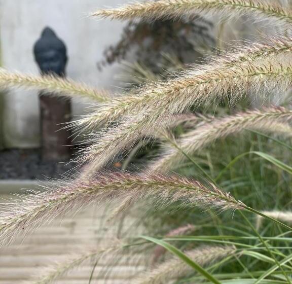 مبيت وإفطار Maison D Hôtes L Atelier Du Charmois