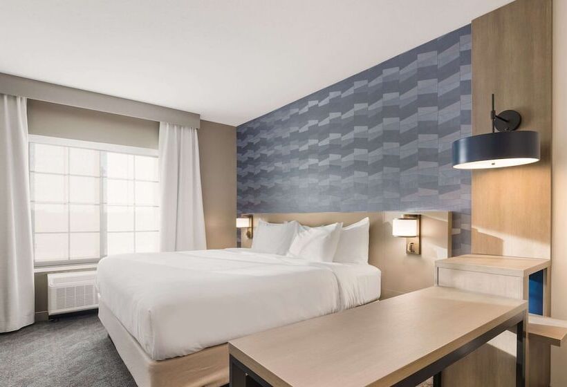 酒店 Comfort Inn & Suites Gaylord