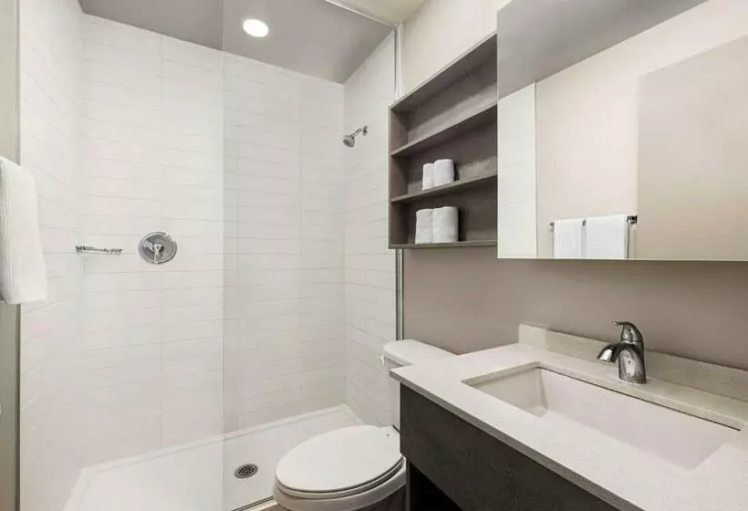 Microtel Inn & Suites Dorval Qc