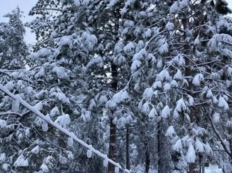 Aamiaismajoitus (B&B) The Old Bear Bnb