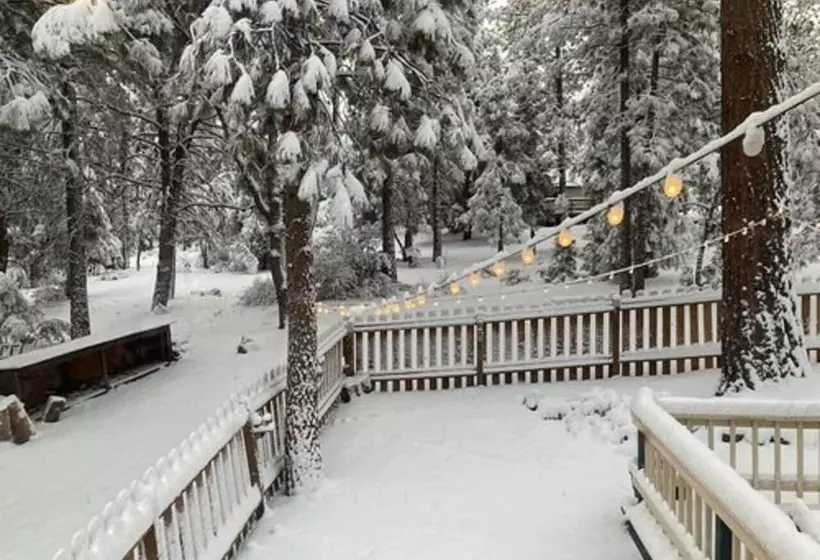 Aamiaismajoitus (B&B) The Old Bear Bnb