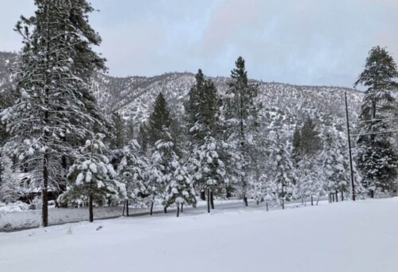 مبيت وإفطار The Old Bear Bnb