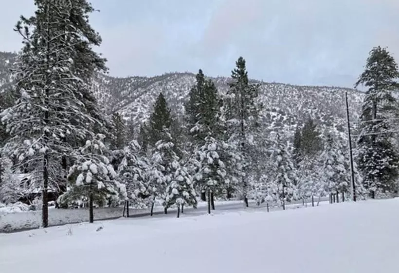 Aamiaismajoitus (B&B) The Old Bear Bnb