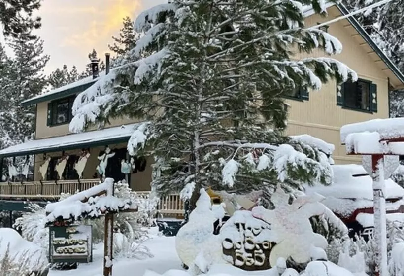 Aamiaismajoitus (B&B) The Old Bear Bnb