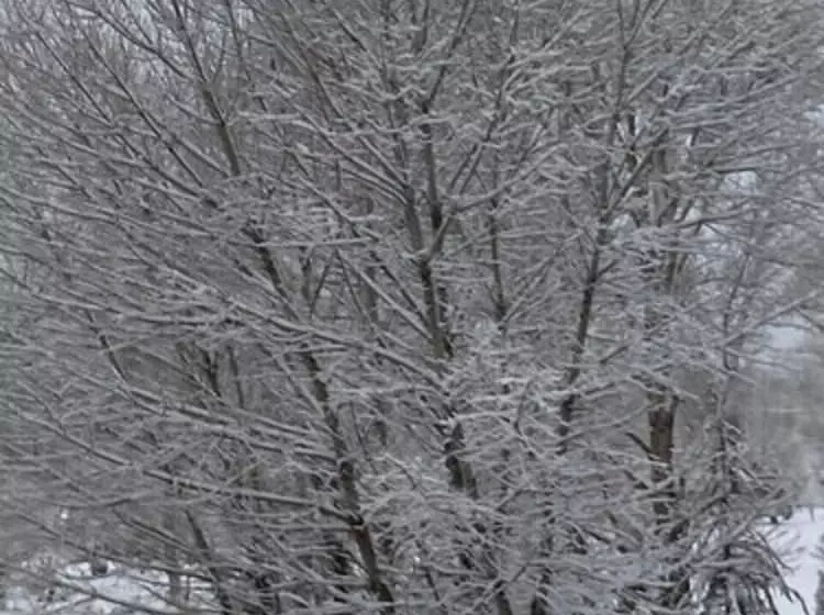 Aamiaismajoitus (B&B) The Old Bear Bnb