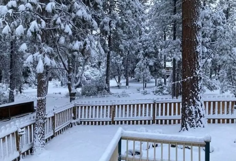 Aamiaismajoitus (B&B) The Old Bear Bnb