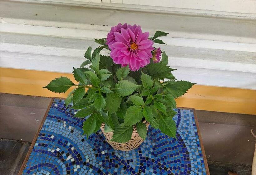 Bed and Breakfast Villa Amy