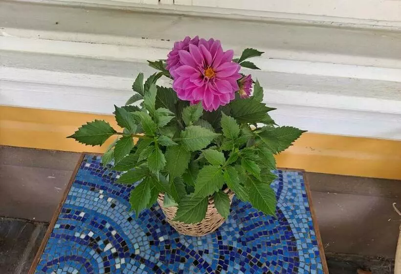 تختخواب و صبحانه Villa Amy