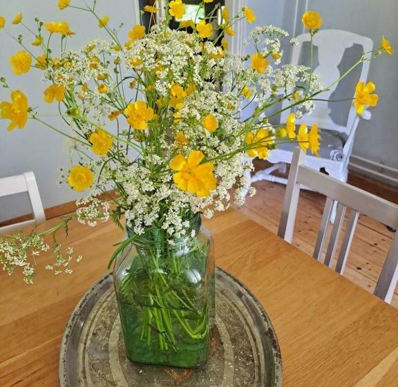 Bed and Breakfast Villa Amy