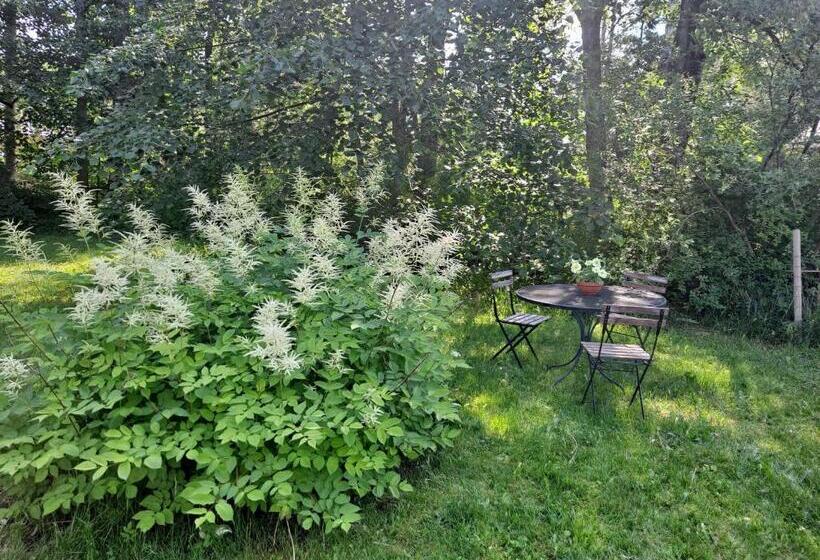 Bed and Breakfast Villa Amy