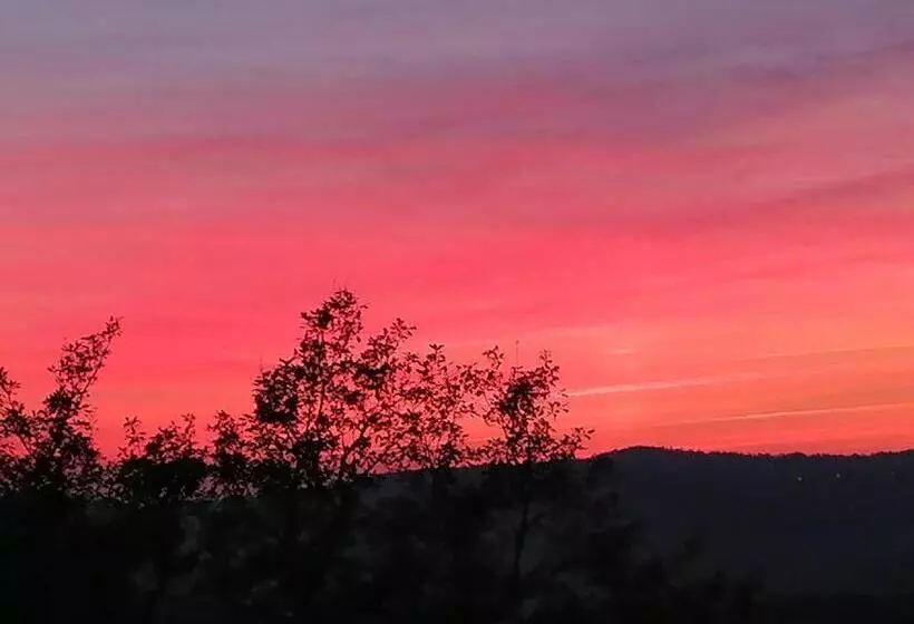 Majatalo Lapausedegout Piscine Chambres Climatisées Terrasse Ou Patio