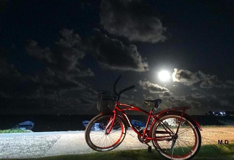 The Wave Hostel Corn Island