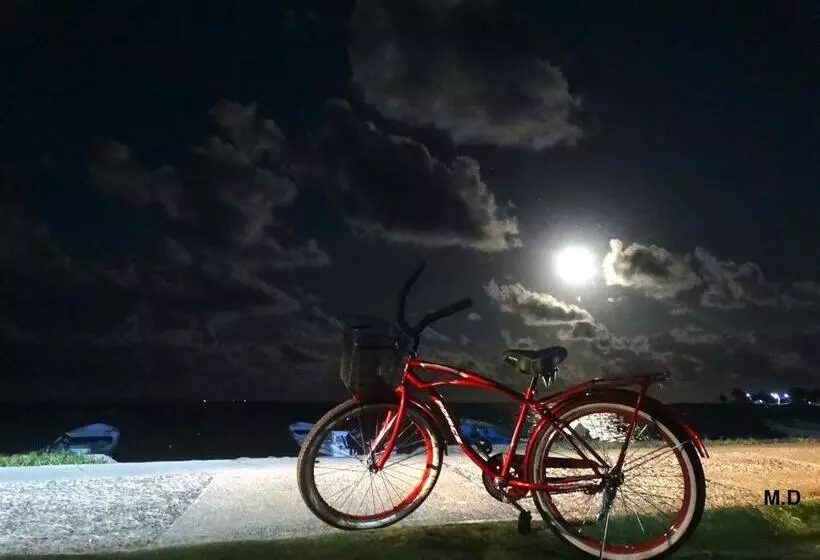 The Wave Hostel Corn Island