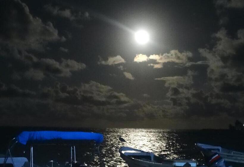 The Wave Hostel Corn Island