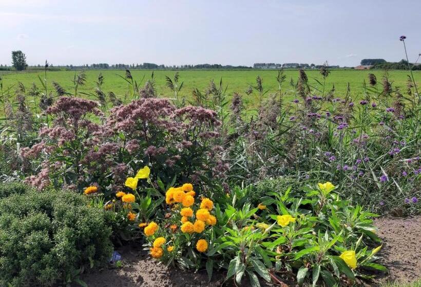 B&b De Hemelse Polder