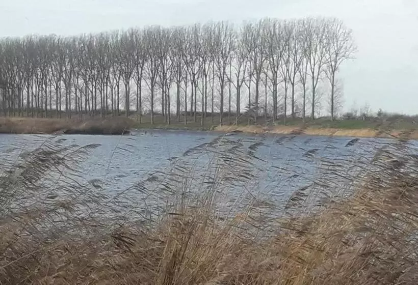 B&b De Hemelse Polder