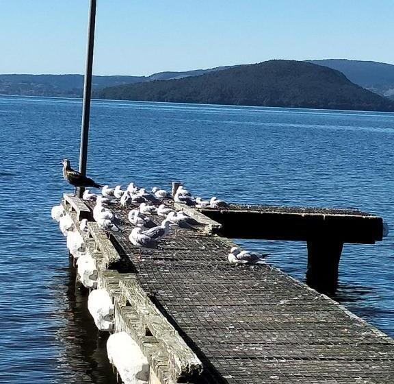 تختخواب و صبحانه Amberly House Rotorua