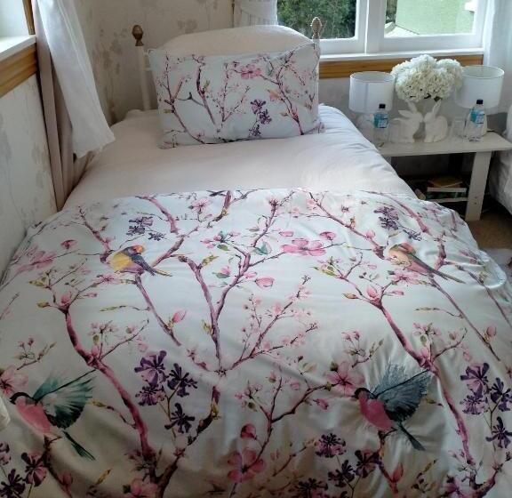 تختخواب و صبحانه Amberly House Rotorua