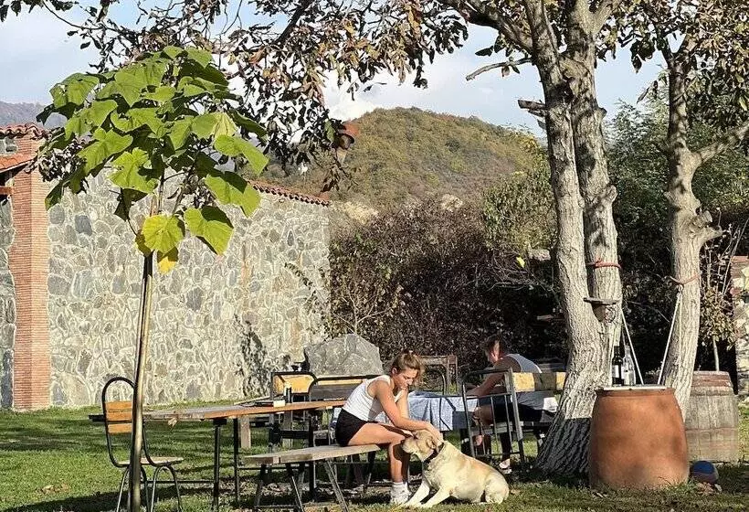 تختخواب و صبحانه Chubini Winery & Cabins