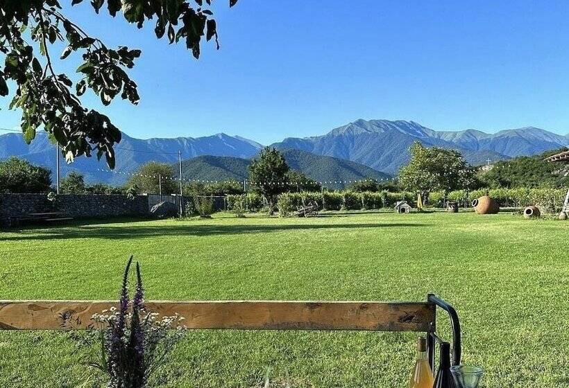 تختخواب و صبحانه Chubini Winery & Cabins