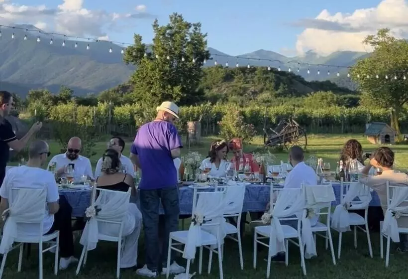 تختخواب و صبحانه Chubini Winery & Cabins