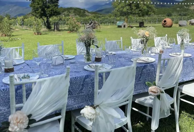 تختخواب و صبحانه Chubini Winery & Cabins