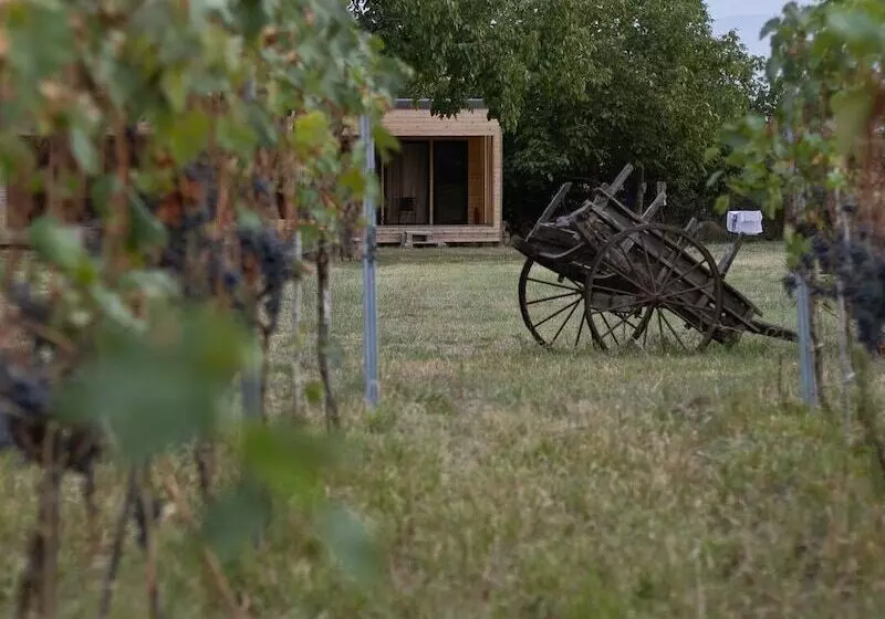 تختخواب و صبحانه Chubini Winery & Cabins