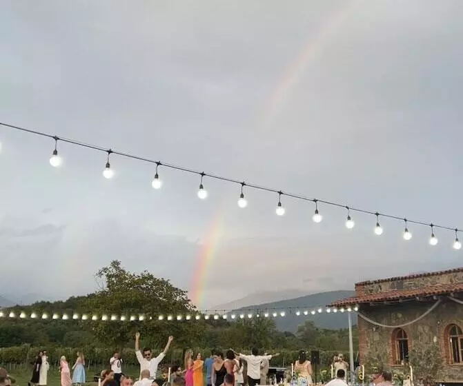 تختخواب و صبحانه Chubini Winery & Cabins