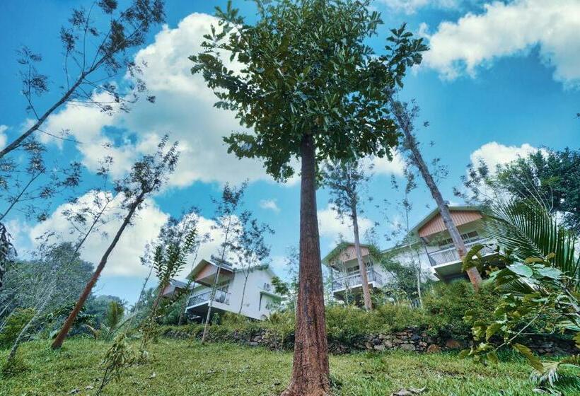 Jungle Bay Resorts & Spa