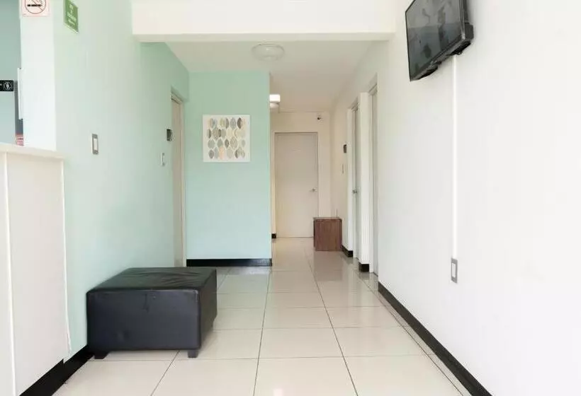 Esencia Hostel Terminal Oaxaca