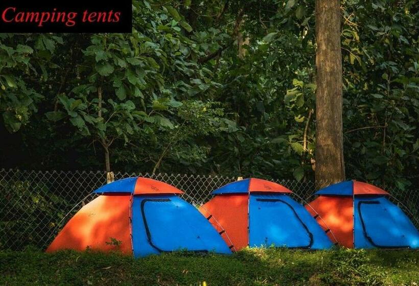 Resort Parampara Cottages