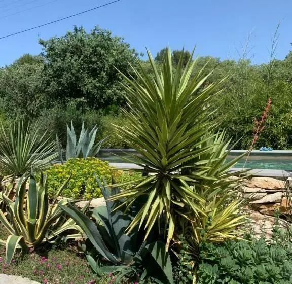 ベッドアンドブレックファースト Chambres D Hôtes Lovely Planette