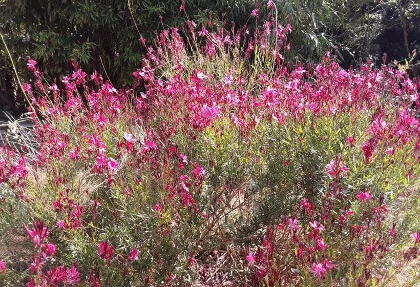 ベッドアンドブレックファースト Chambres D Hôtes Lovely Planette