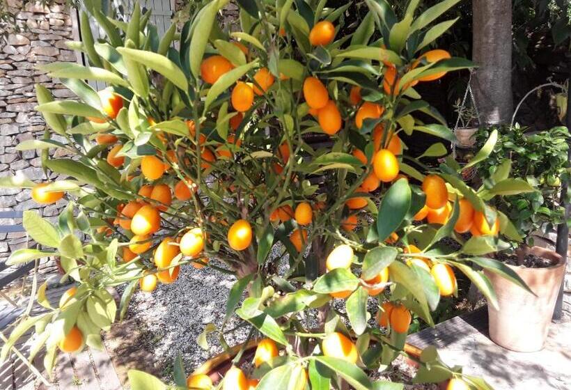 مبيت وإفطار Chambres D Hôtes Lovely Planette