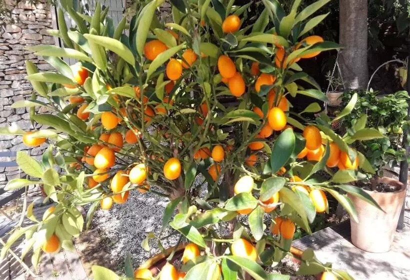 ベッドアンドブレックファースト Chambres D Hôtes Lovely Planette