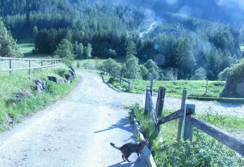 Bed And Breakfast Darlux