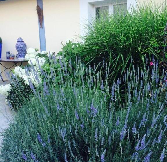 تختخواب و صبحانه La Maison De Lilly