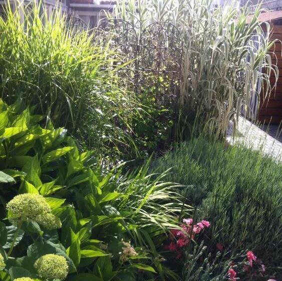 تختخواب و صبحانه La Maison De Lilly