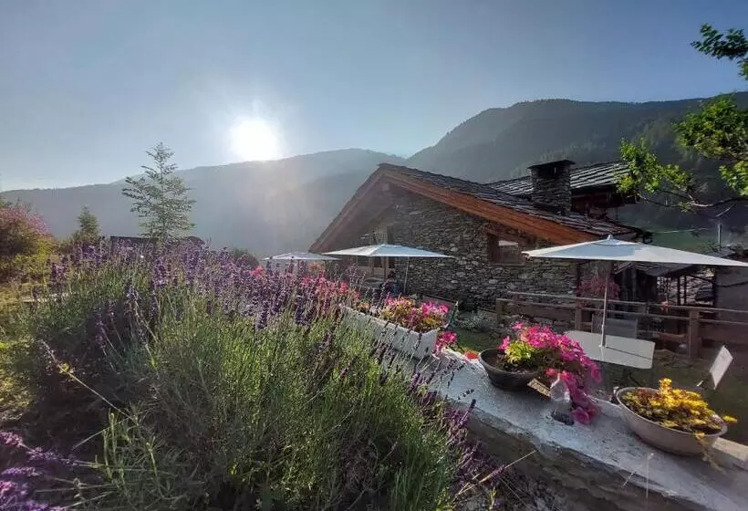 Casalpaca B&b Con Sauna A Prali