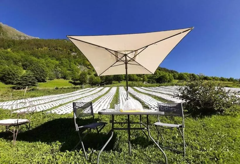 Casalpaca B&b Con Sauna A Prali