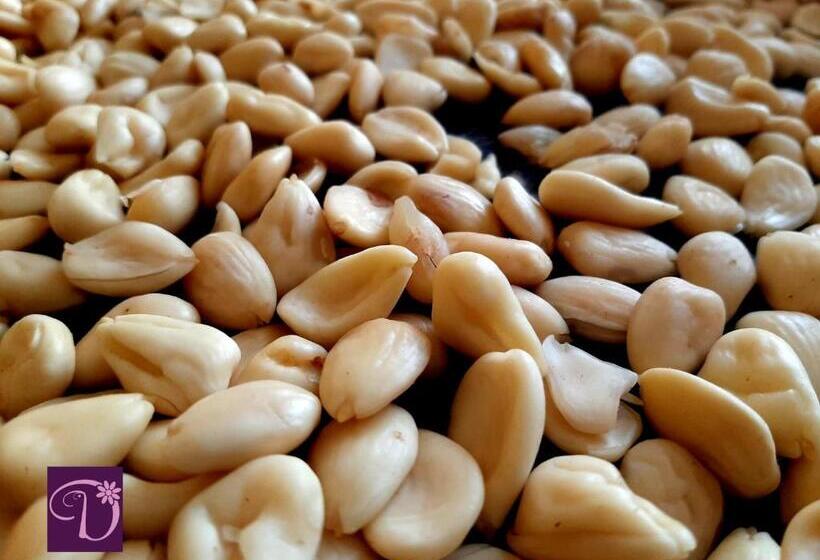 Donatella Bed And Breakfast