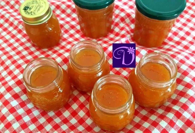 Donatella Bed And Breakfast