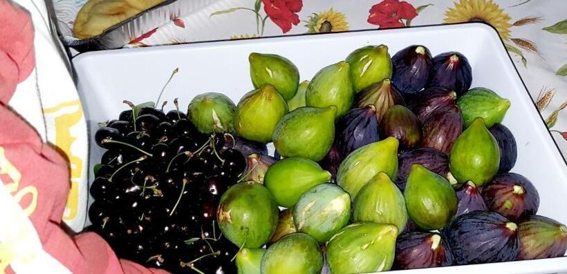 Donatella Bed And Breakfast