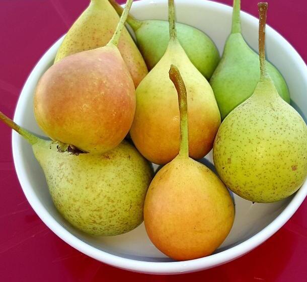 Donatella Bed And Breakfast