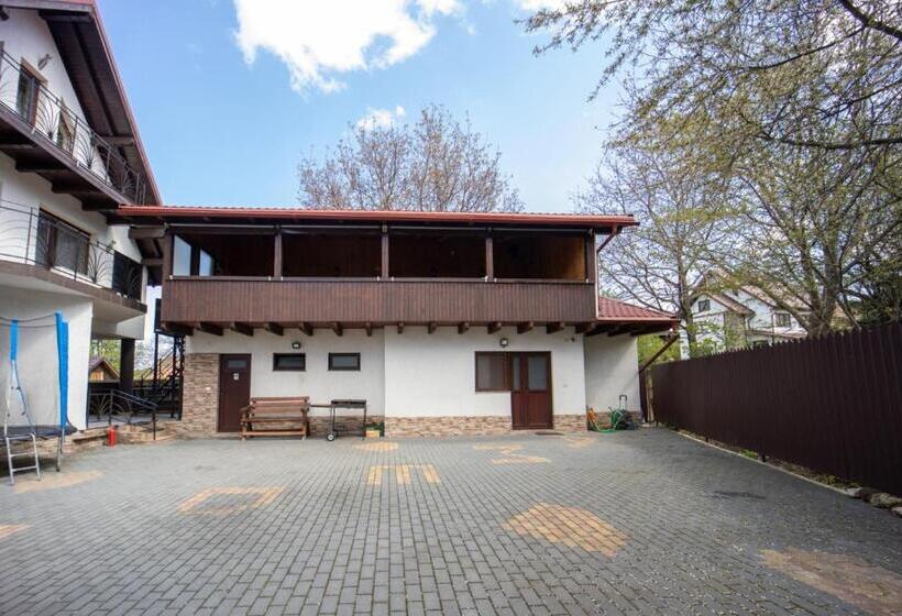 پانسیون Amedeia