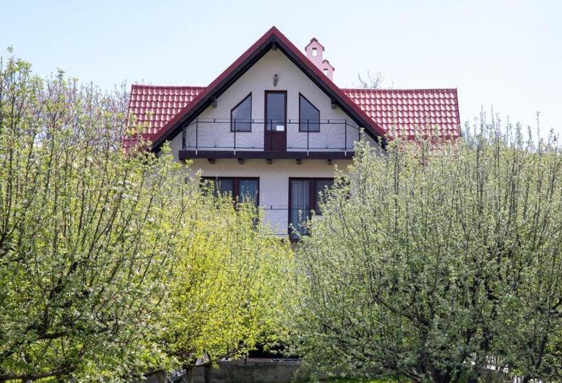 پانسیون Amedeia