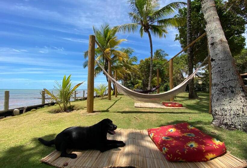פנסיון Pousada Casarão Pé Na Areia Cumuruxatiba
